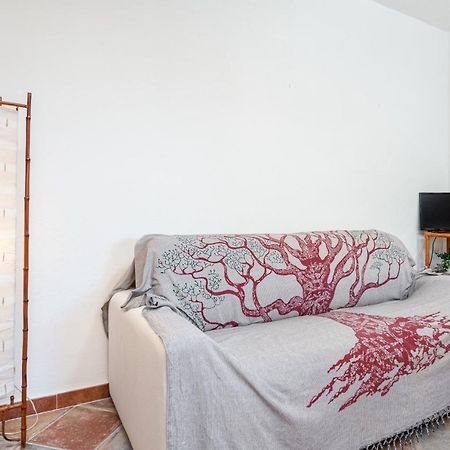 Holiday House Li Piri San Teodoro  Extérieur photo
